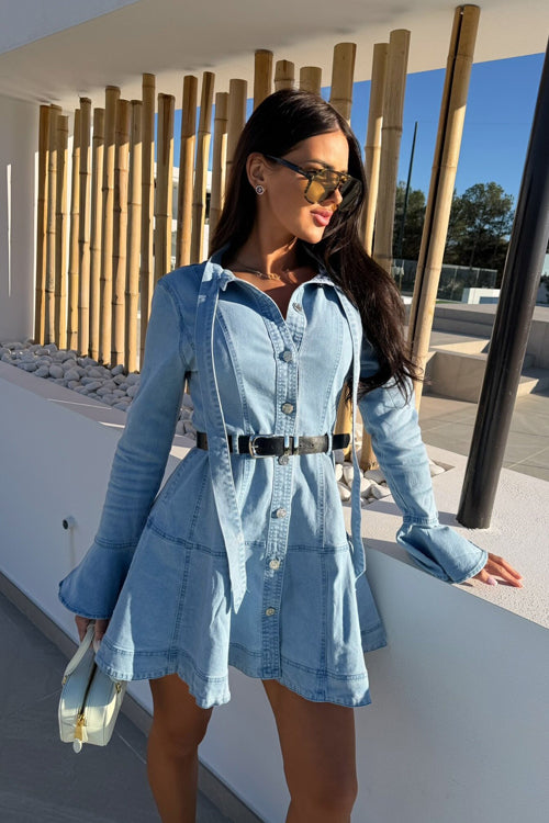 Delightful Design Long Sleeve Denim Mini Dress
