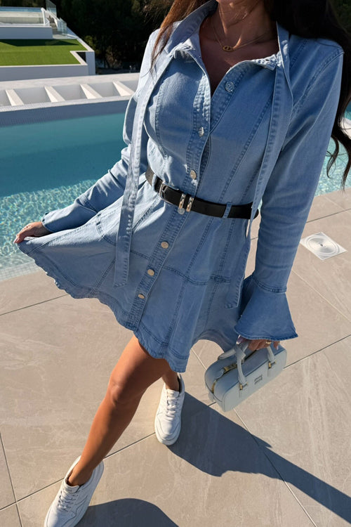 Delightful Design Long Sleeve Denim Mini Dress