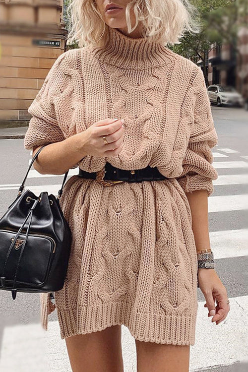 Morning Chill High-Neck Sweater Dress - 2 Colors